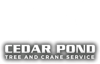 cedar pond tree and crane service